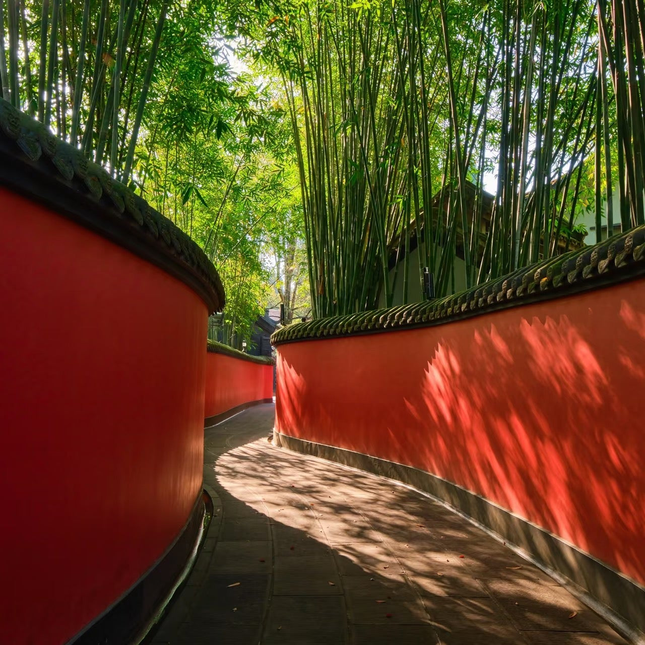 Chengdu Classic 1-day Tour Qingyang Palace+Thatched Cottage of Du Fu+ Wuhou Temple + Jinli Old street