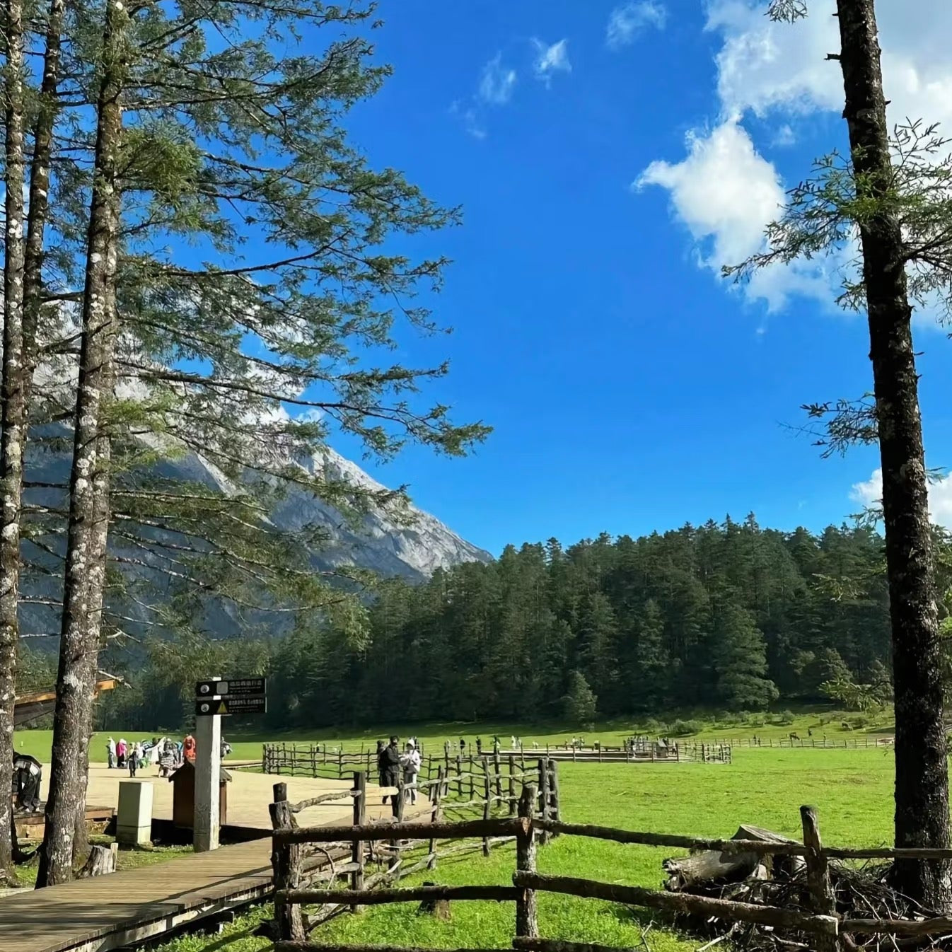 LiJiang Yulong (Jade Dragon) Snow Mountain Day Tour - Spruce Meadow Ropeway |Small-Group