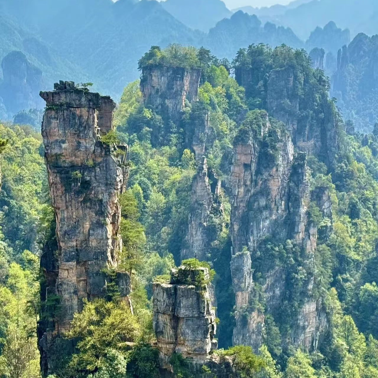 Zhangjiajie National Forest Park One-day Tour | Avatar-Yuanjiajie & Hallelujah Mountain