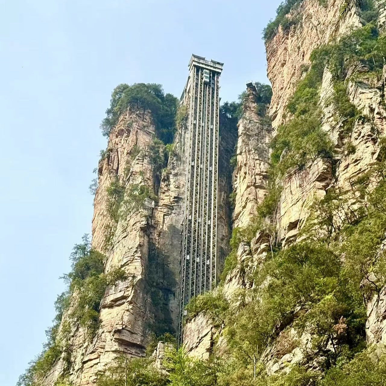 Zhangjiajie National Forest Park One-day Tour | Avatar-Yuanjiajie & Hallelujah Mountain