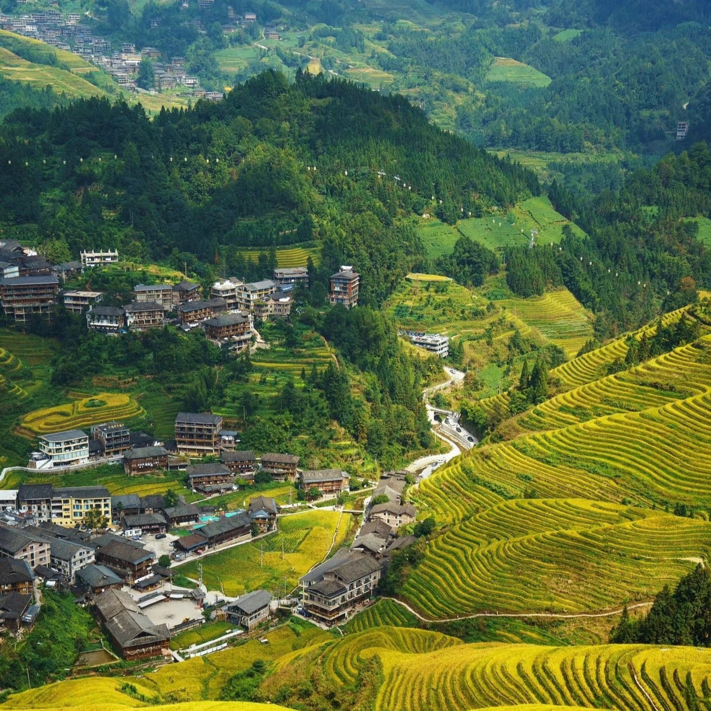 Longji Rice Terrace One Day Tour From Guilin|Small Group