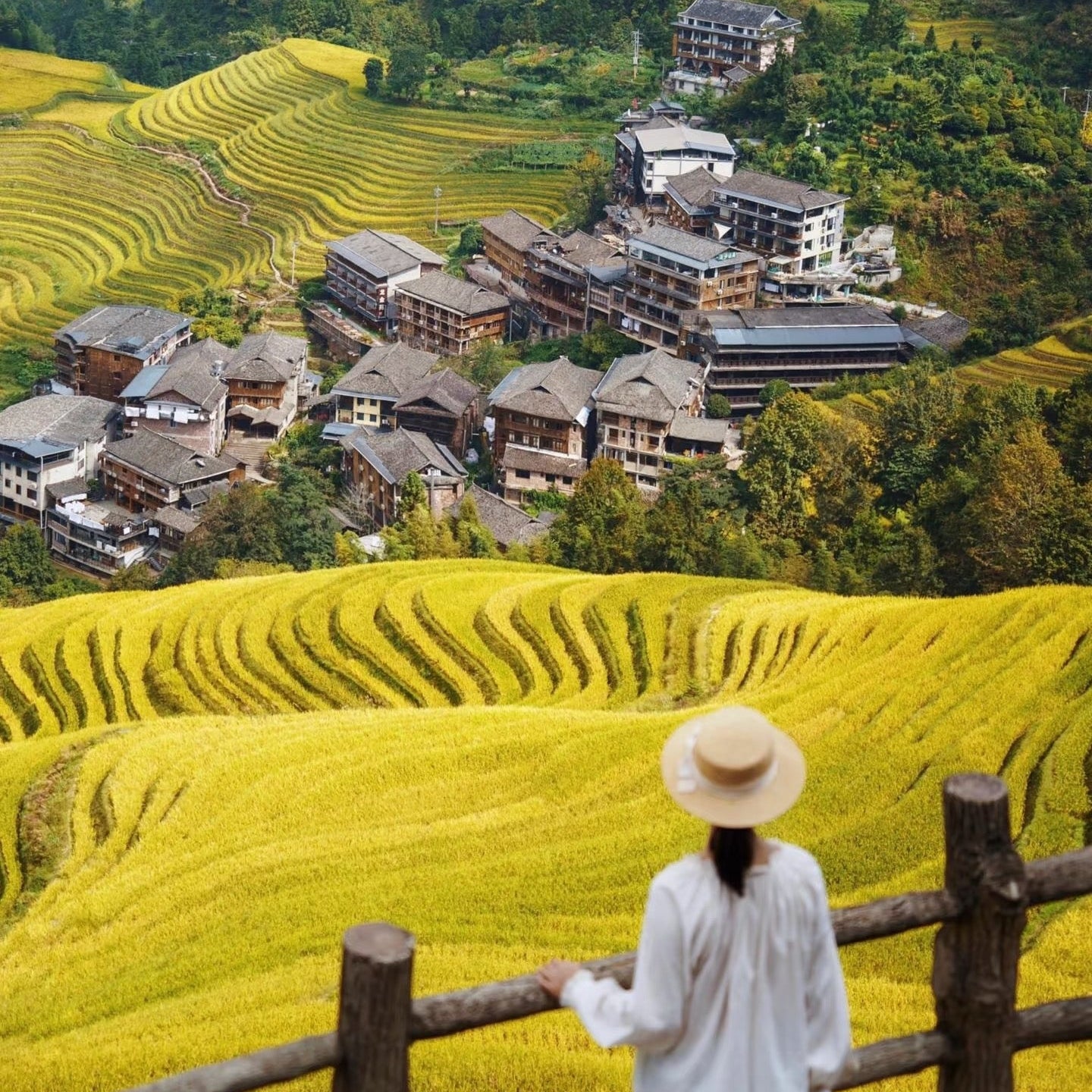 Longji Rice Terrace One Day Tour From Guilin|Small Group