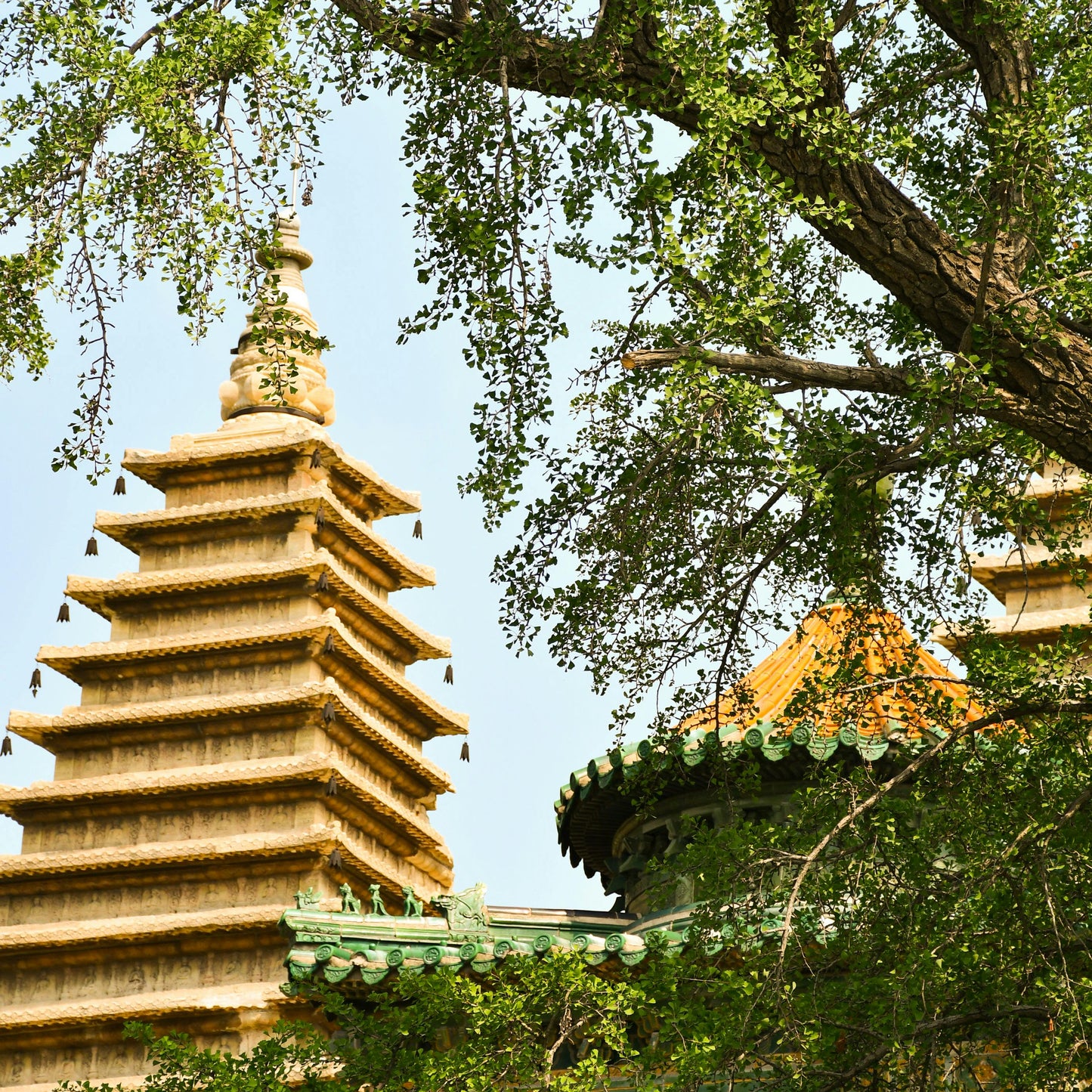 Xi'An Classic City Tour|City Wall+Yongning Gate+Bell Tower+Drum Tower+Muslim Street+Mosque+Big Goose Pagoda
