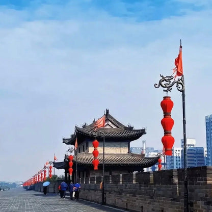 Xi'an Classical City Tour|Xi'an Museum&Xiaoyan Pagoda & Landmark Highlights