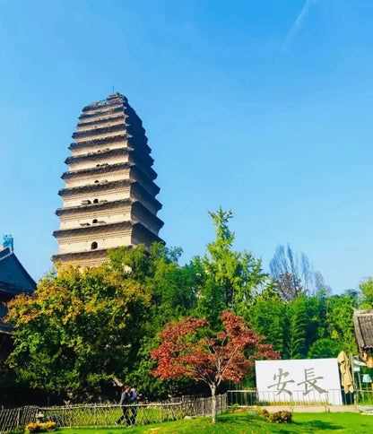 Xi'an Classical City Tour|Xi'an Museum&Xiaoyan Pagoda & Landmark Highlights