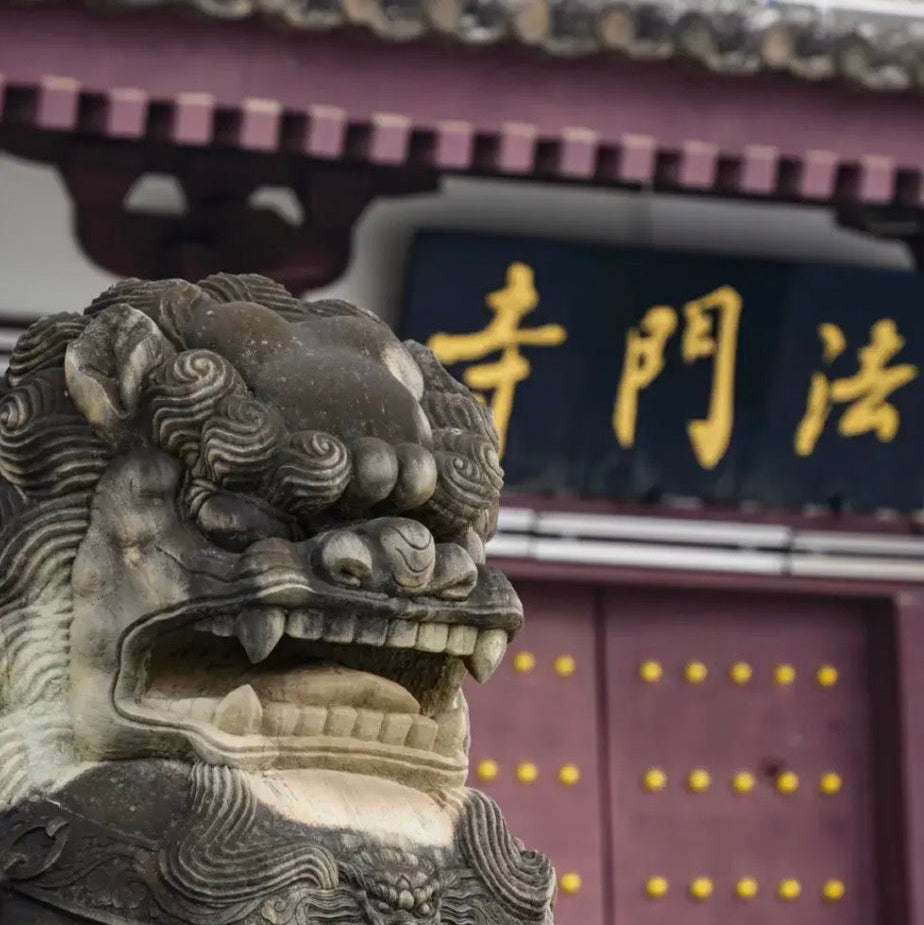 Famen Temple+Taibai Mountain Day Tour From Xi'an