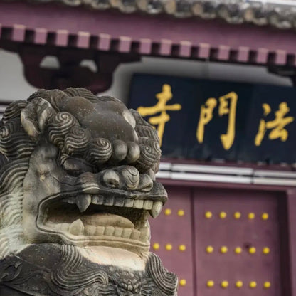 Famen Temple+Taibai Mountain Day Tour From Xi'an