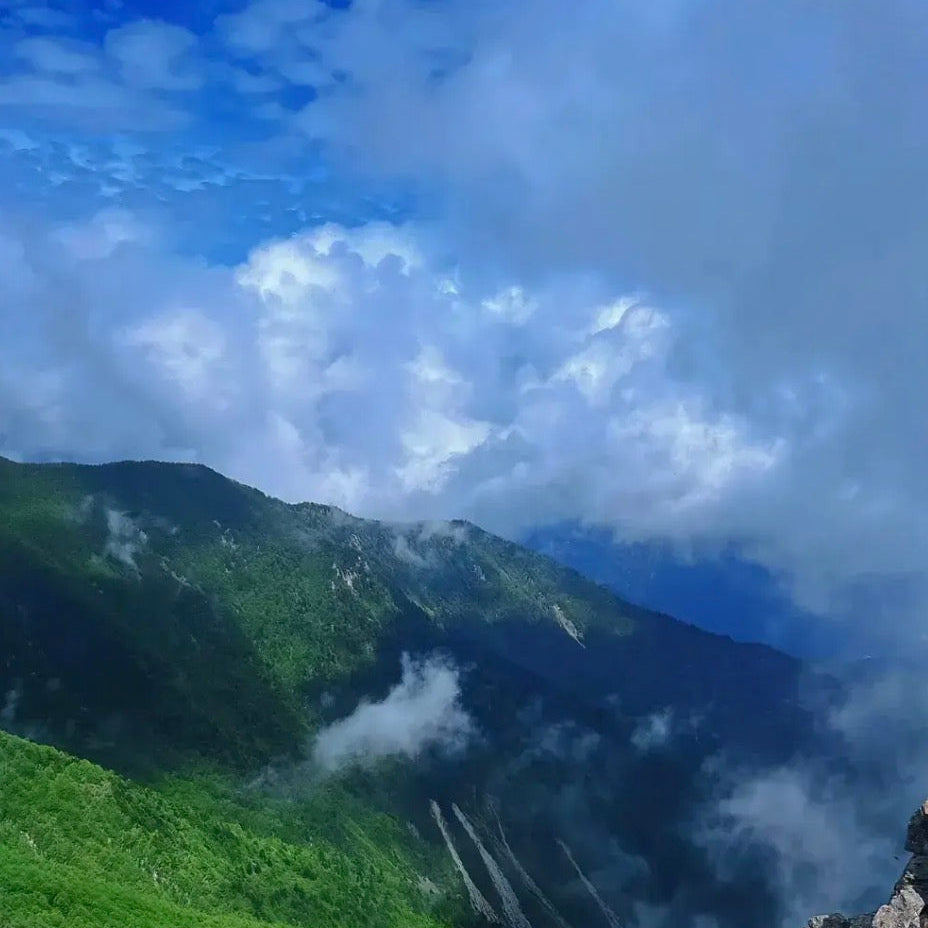 Famen Temple+Taibai Mountain Day Tour From Xi'an