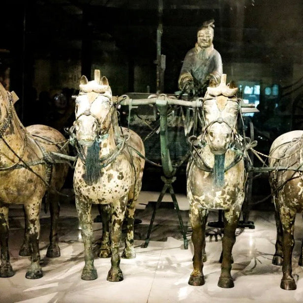 Terracotta Warriors Museum in-depth Tour + Song of Everlasting Sorrow