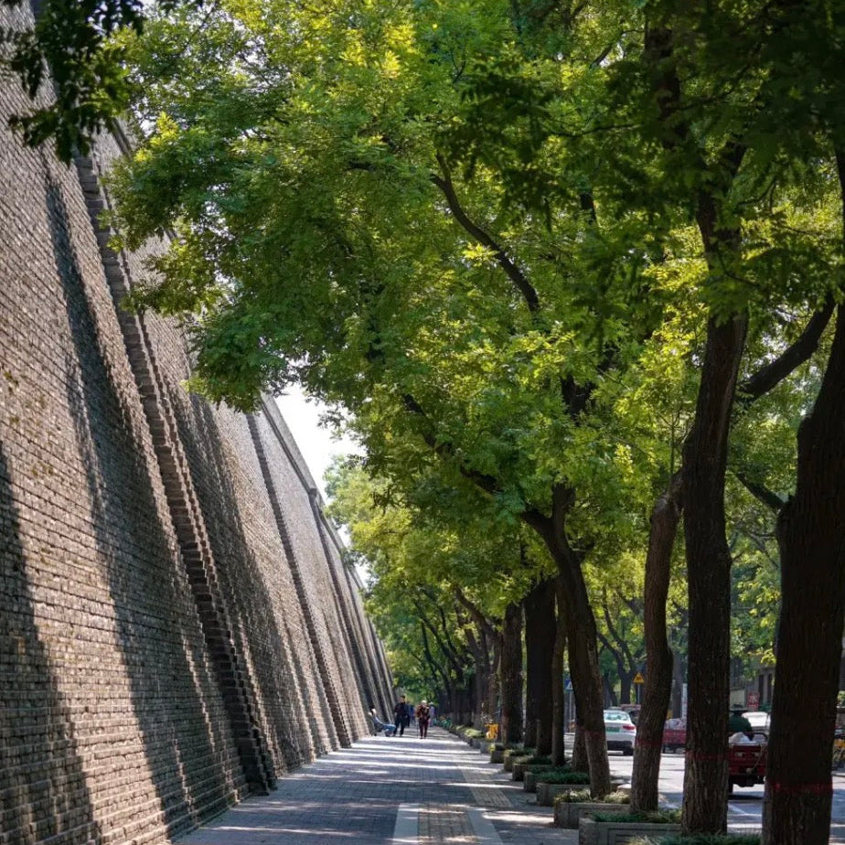 Storyteller of the City • Xi'an City Wall & Shuncheng Alley Historical Walk