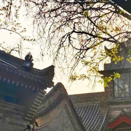 Storyteller of the City • Xi'an City Wall & Shuncheng Alley Historical Walk