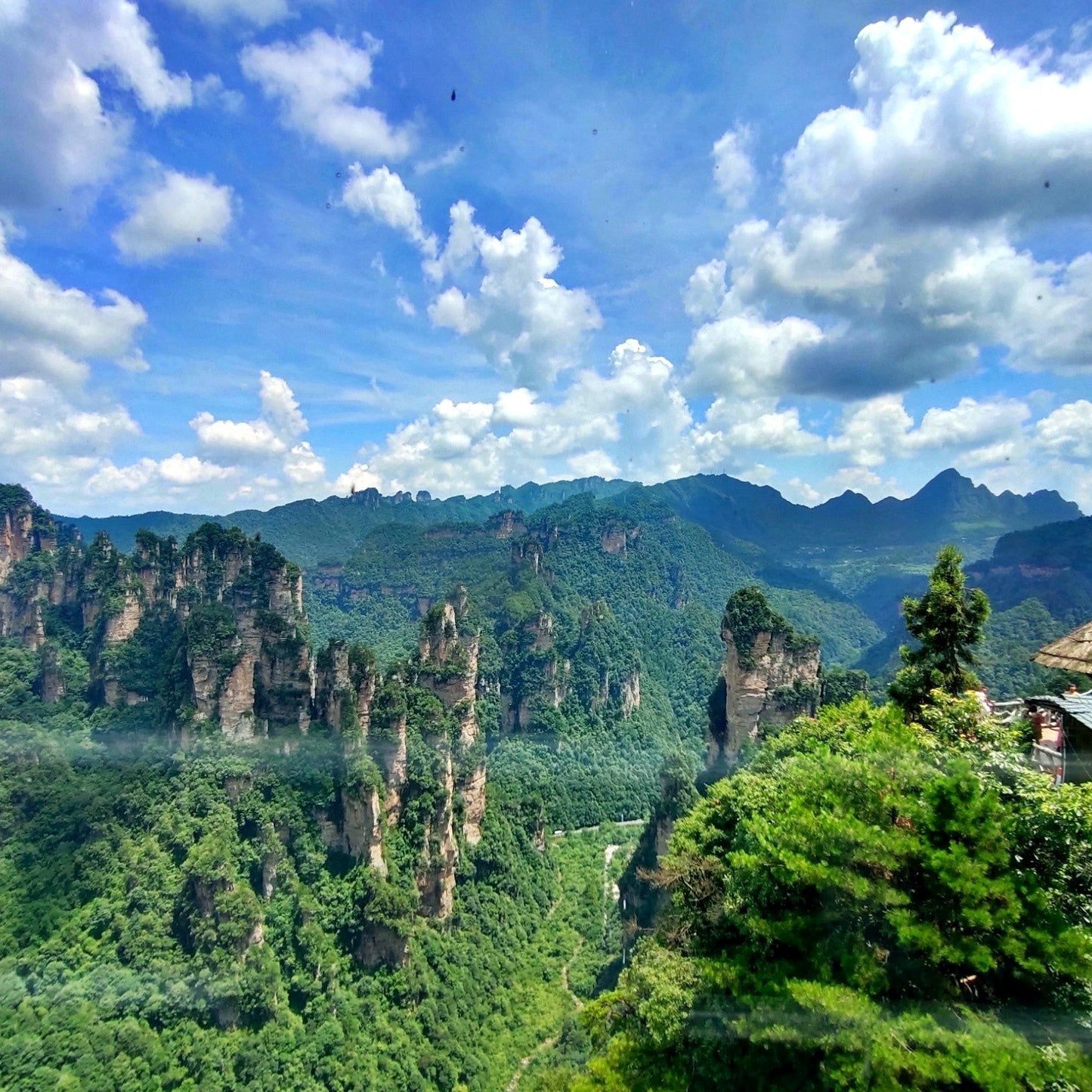 Zhangjiajie Tianmen Mountain National Forest Park Day Tour