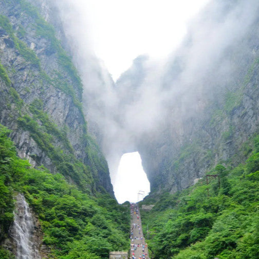 Zhangjiajie Tianmen Mountain National Forest Park Day Tour