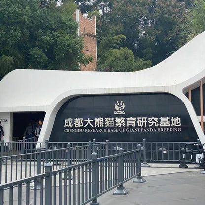 Half-Day Tour to Panda Base Economical and Hassle-Free Style