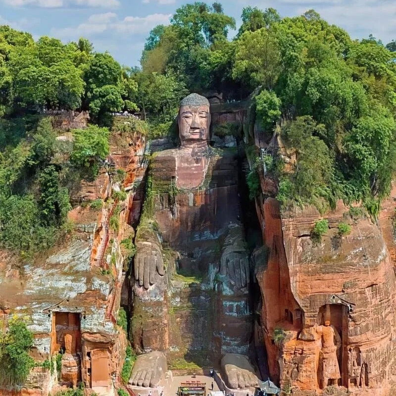 1-Day Chengdu Panda Base and Leshan Giant Buddha Small Group Tour