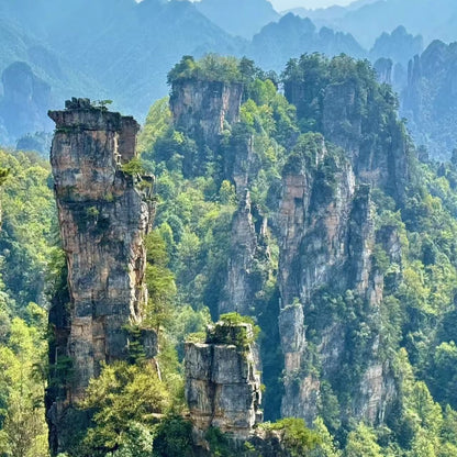 Zhangjiajie National Forest Park One-day Tour | Avatar-Yuanjiajie & Hallelujah Mountain