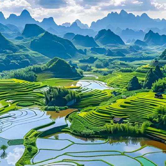 Longji Rice Terrace One Day Tour From Guilin｜Small Group