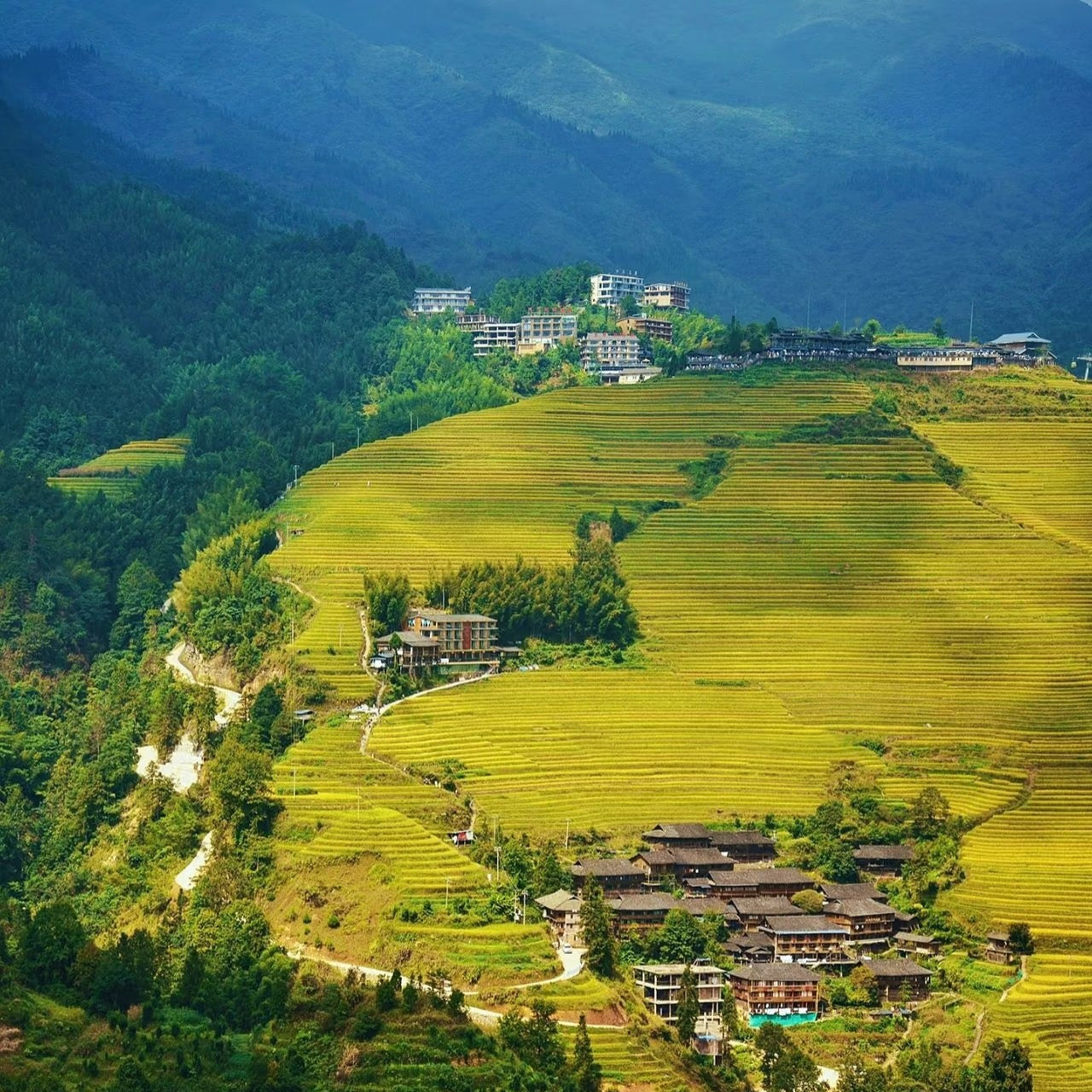 Longji Rice Terrace One Day Tour From Guilin｜Small Group