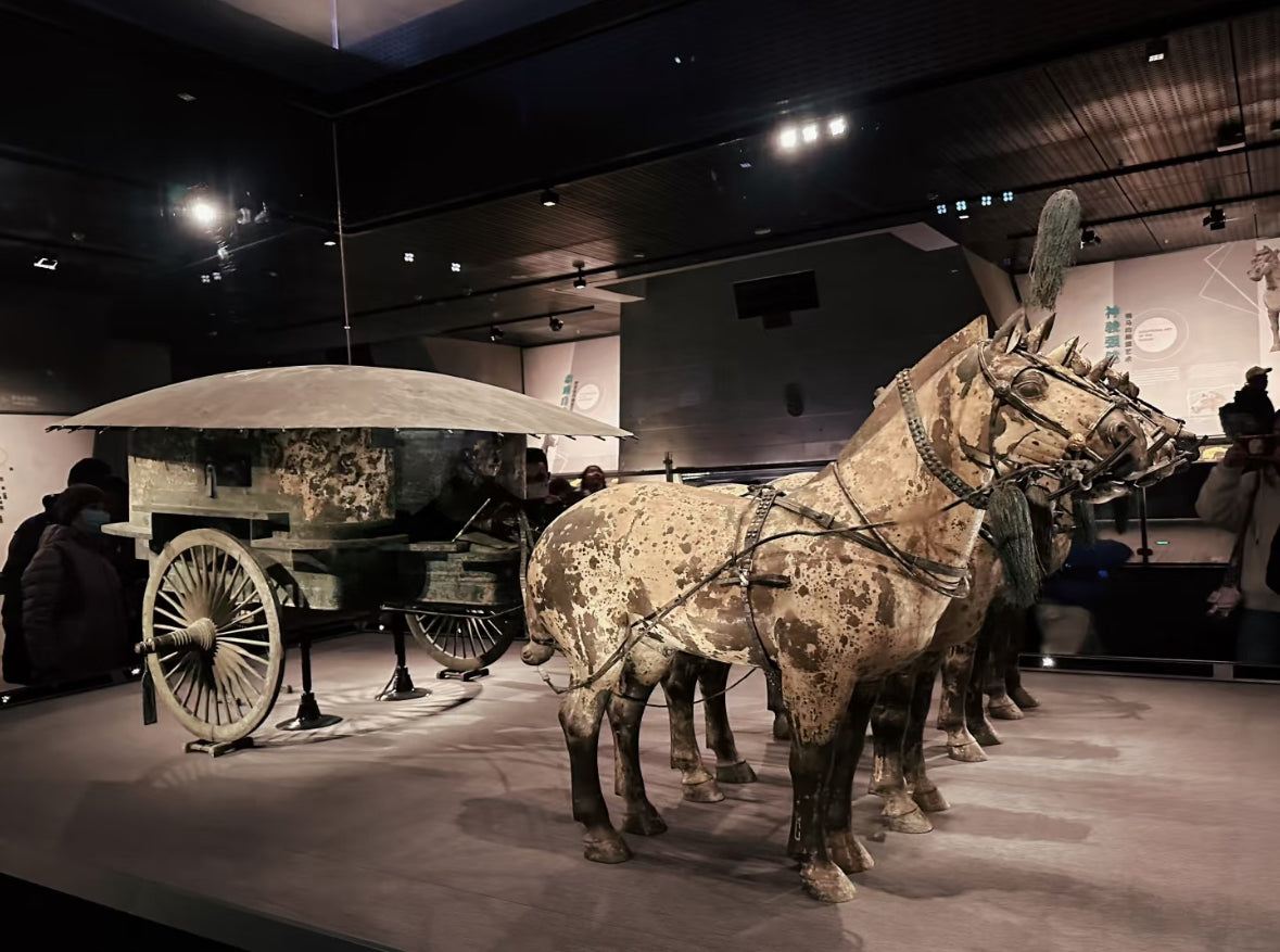 Xi'An Terracotta Armys Museum Half Day With Guide