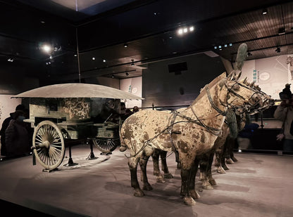 Xi'An Terracotta Armys Museum Half Day With Guide