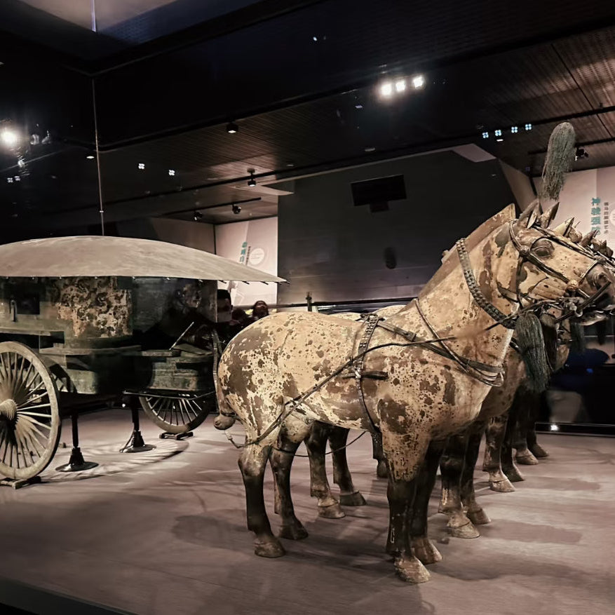 Xi'An Terracotta Armys Museum Half Day with ENG Guide Daily Departure