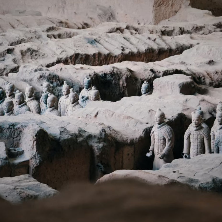 Xi'An Terracotta Armys Museum Half Day with ENG Guide Daily Departure