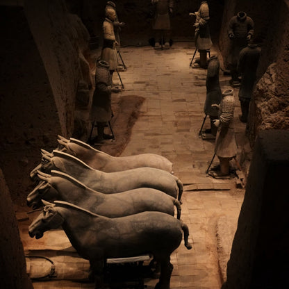 Xi'An Terracotta Armys Museum Half Day with ENG Guide Daily Departure