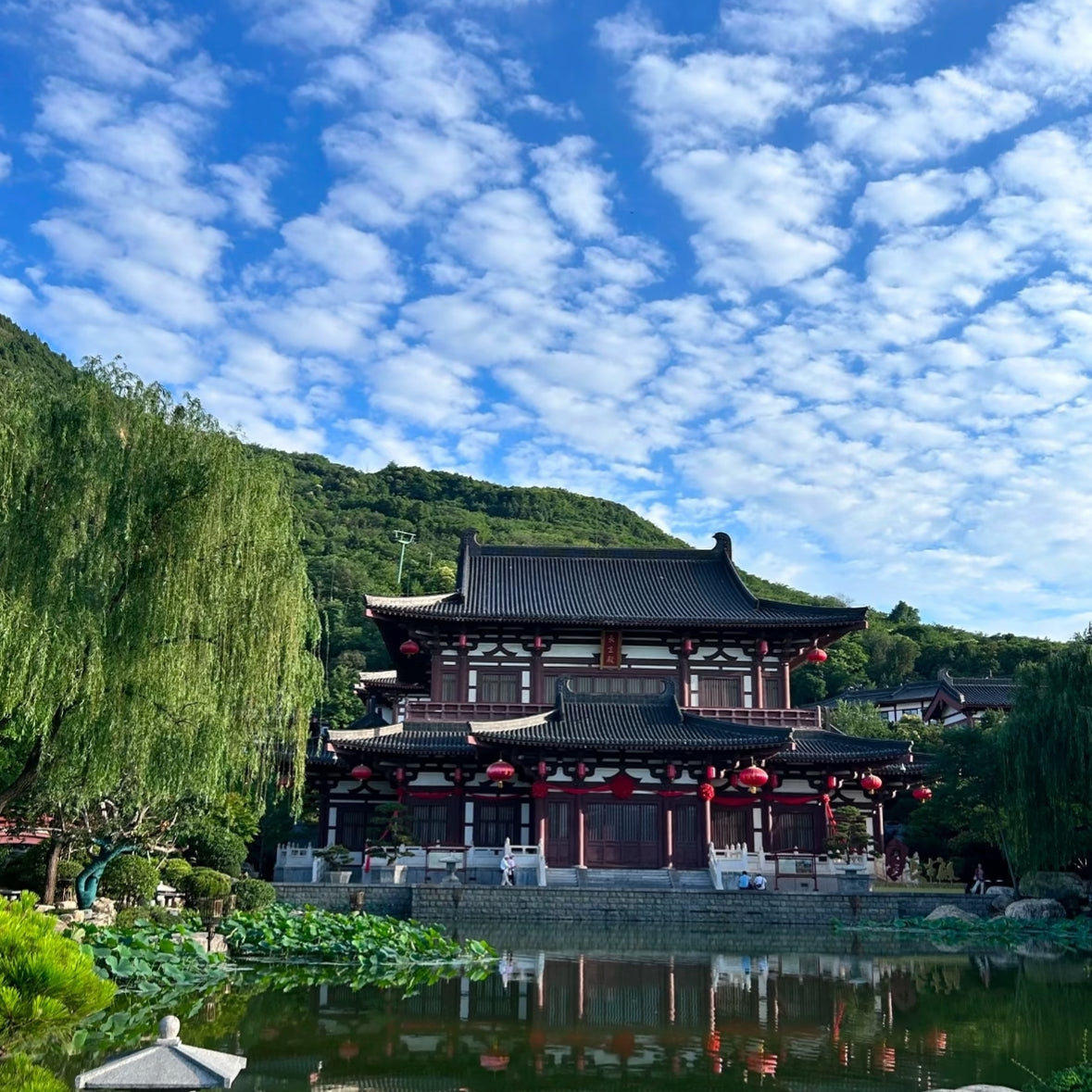 Xi'an World Heritage Day Tour-Terracotta Warriors&Huaqing Palace | Multi-language Options