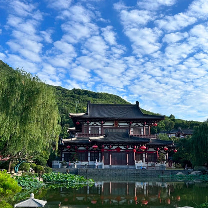 Xi'an World Heritage Day Tour-Terracotta Warriors&Huaqing Palace | Multi-language Options