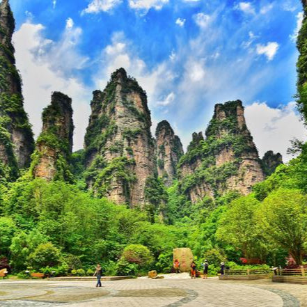 Zhangjiajie Tianmen Mountain National Forest Park Day Tour