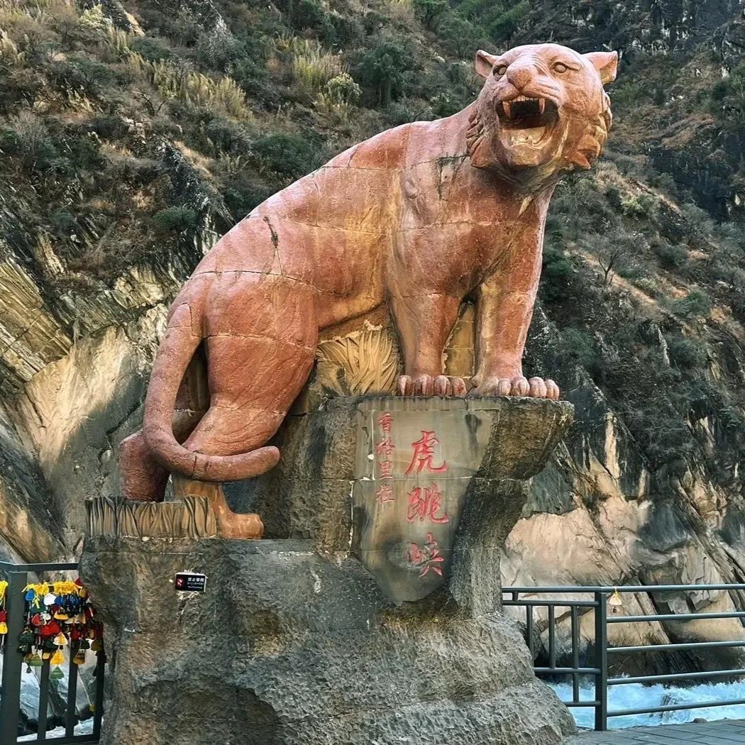 Shangri-La Day Tour From LiJiang-Tiger Leaping Gorge+Haba Snow Mountain+Dukezong Ancient Town+Napa Sea
