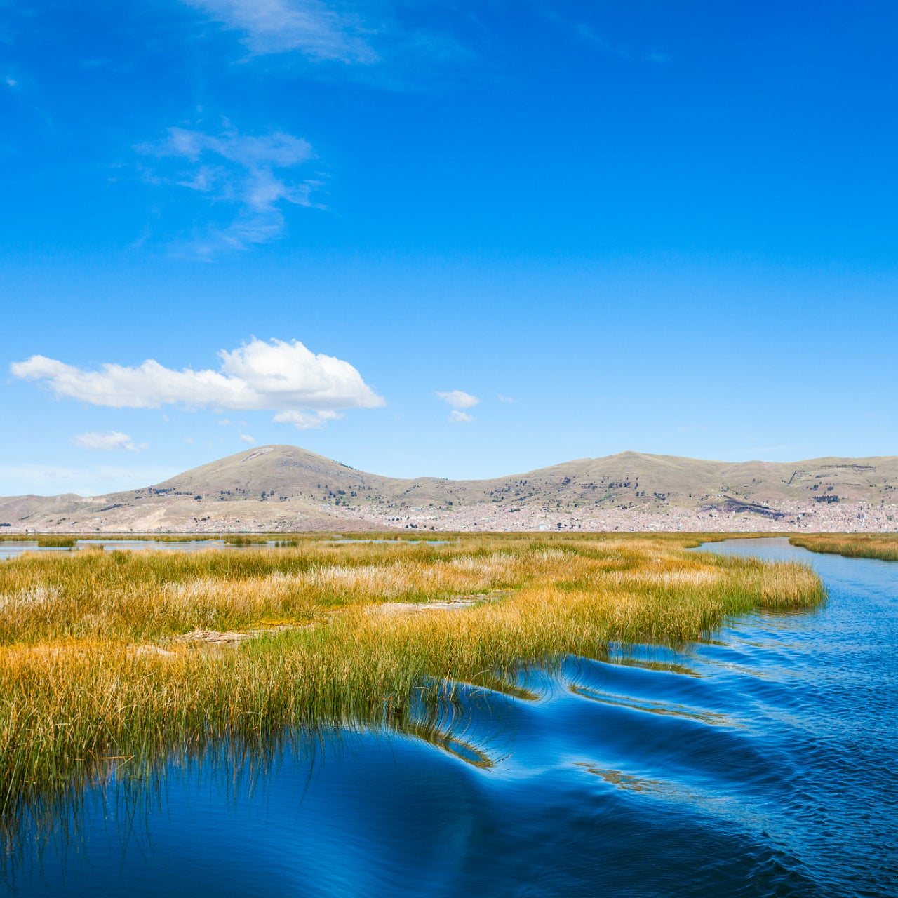 Shangri-La Day Tour From LiJiang-Tiger Leaping Gorge+Haba Snow Mountain+Dukezong Ancient Town+Napa Sea